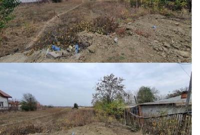 Teren Construcții intravilan de 950 mp, în Dumitrana
