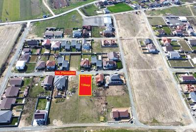 Teren Construcții intravilan de 738 mp, în Moșnița Nouă