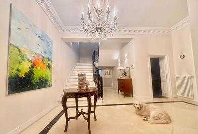 Vila ideala Birouri sau  Resedinta Ambasador/Clinica Lux zona Capitale - 9