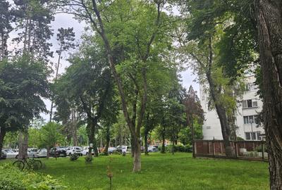 Aparitie rara! Apartament 3 camere, langa Somes, cartier Grigorescu! - 14