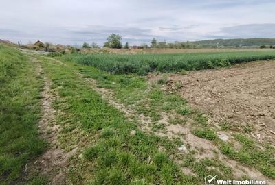 Teren cu functiuni multiple Apahida - construire fara PUZ - 2