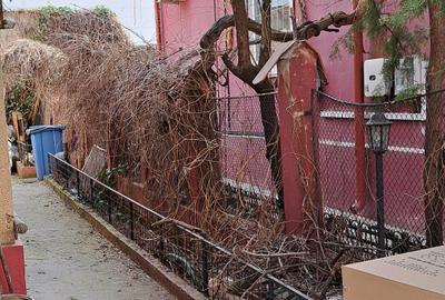 Calea Calarasilor, casa individuala 5camere, teren 220mp - 5