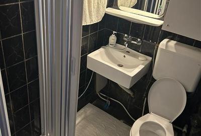 Apartament 3 camere Podu Roș - Fără risc seismic, ideal investi&# - 9