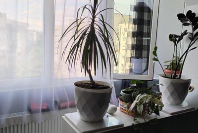 Bulevardul Drumul Taberei-Valea Argesului 3 camere - 3