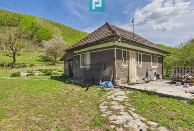 Teren Construcții intravilan de 13199 mp, în Luncoiu de Jos