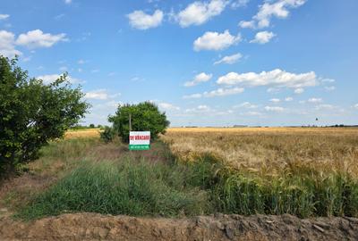 Teren de vanzare Popesti Leordeni,str Scolii - 10