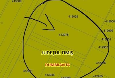 COMISION 0 | Teren extravilan arabil | 30.000 mp | Zona Dumbravita - 4