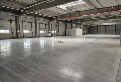 Spatii Industriale - 9500 mp - Logistica - Productie - Depozitare - Distributie - 12