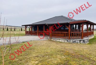 Ferma complet echipată de 22 de hectare de vânzare în Zoltan! - 16