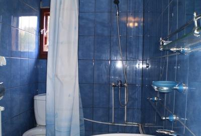 Oportunitate Apuseni: 7553mp cu parau, casa, anexe la 2km de Ghețarul Scarisoara - 14