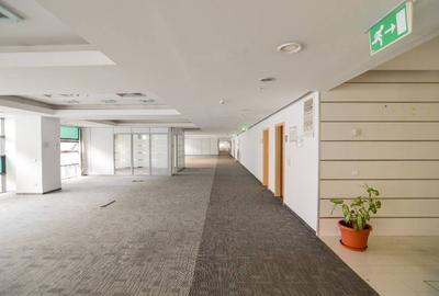 America House, Victoriei, 200 - 240 mp  0% comision! - 5