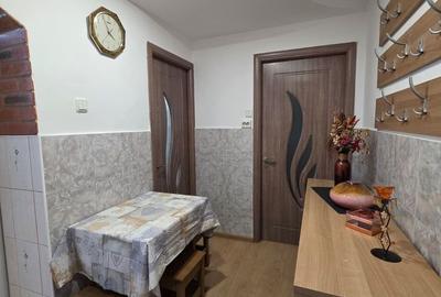 Apartament cu 2 camere Dambu Pietros - 9