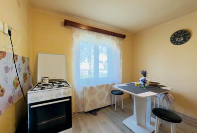 Casa individuala 2 camere, 933mp teren in Utvin - 10