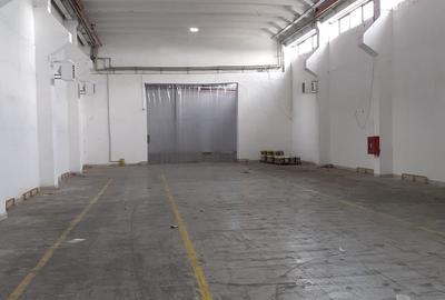 Hala industriala Frumusani - Buciumeni - 9