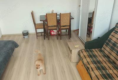 Apartament 2 camere decomandat Obregia - 10