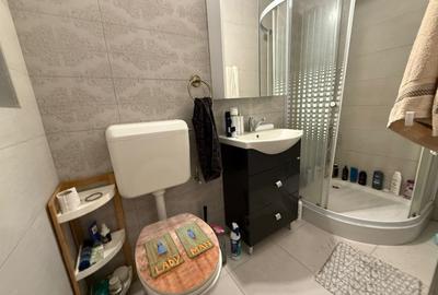 Spațiu comercial+locuință la mansardă,3 dormitoare, living,5 băi, teren 715 mp - 10