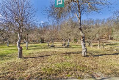 Cabană deosebită cu 4 camere în Căsoaia - 3
