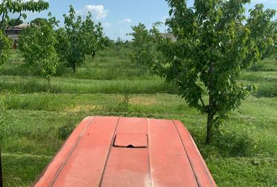 De Vânzare – Fermă de Pomi Fructiferi, 48,8 ha, Iancu Jianu, Jud. Olt - 19