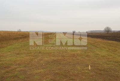 Teren agricol de 5000 mp, în Satu Mare