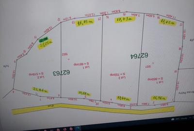 Roscani-Dobra-Teren Cabana-10km A1-Posibilitate Rate - 2