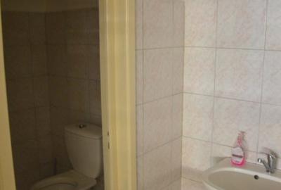 Hala Calea Lugojului 1400 mp 6000 euro - 9