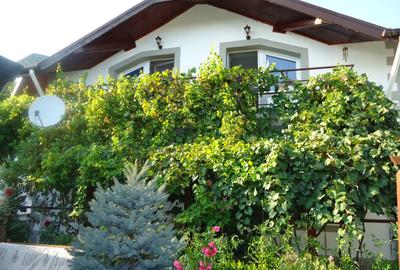 Vila piscina superba gradina matura cu iesire directa la padure - 17