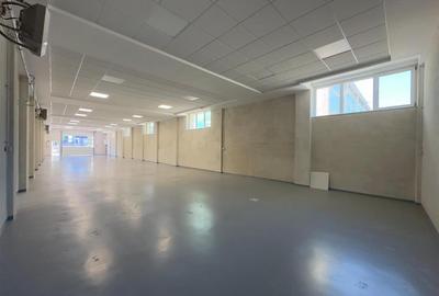 Spatiu Valea Lupului, Antibiotice, multifunctional, 334mp - 18