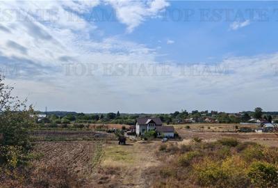 Ferma 3,3ha, din care 2,5ha intravilan, vila 7 camere, D+P+E+M, casa pentru munc - 15