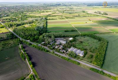Cladire industriala de vanzare cu potential 3,5 ha in Batania - 8