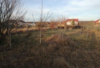 Teren constructie casa -1000 mp - Snagov, Strada Tudor Vladimirescu - 4