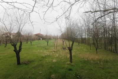 Teren Intravilan Techirghiol 4350mp - 2