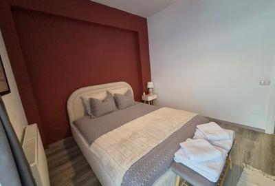Inchiriere Apartament 2 Camere Iancu Nicolae - 21