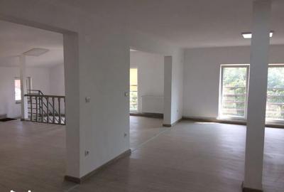 Închiriere casă integral sau parțial (parter, etaj), Calea Aradului - 4