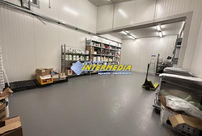 560 mp Hala Depozit Productie Servici cu Birouri curte teren 1035 mp si panouri - 18
