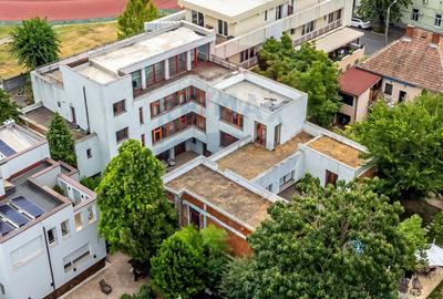 Proprietate speciala 1022 mp utili de vanzare pe Malul Muresului Arad - 25