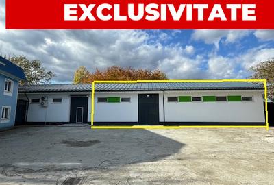 Spațiu industrial, de 200.00 mp, în Sud-Vest