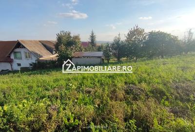 Teren intravilan 2248 mp - Nazna - 7