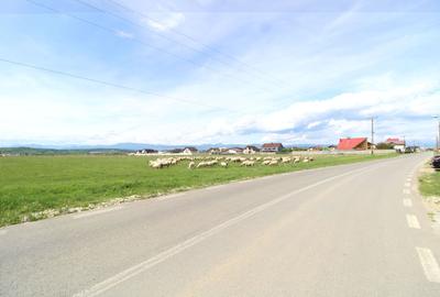 Teren construibil, strada principalǎ, 564 mp, Prelungirea Panduri - 4