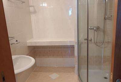 Penthouse 120 mp Arcul de Triumf 3 camere parcare subterana - 29