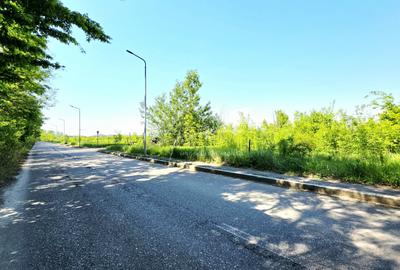 Teren intravilan, 2 fronturi, Drumul Padurea Pustnicu 65 - Greenfield - 11
