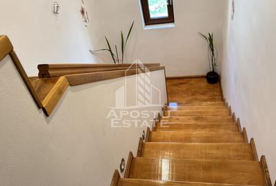 Casa individuala cu 4 camere de vanzare cu teren generos in Chisoda - 12