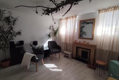 Spatiu comercial ideal pentru activitati de terapie - Astra, Brasov - 1