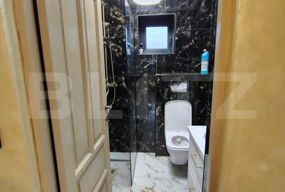 Proprietate cu 2 case, una fiind tradițională, Dezmir - 13