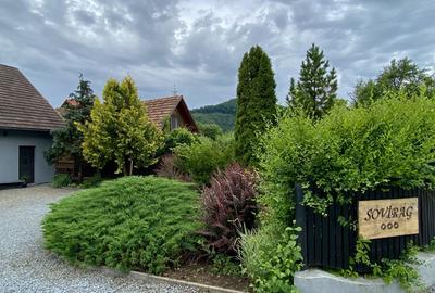 In apropierea strandului sarat si Sovata imobil cu teren 2400 mp + casa 270 mp - 11