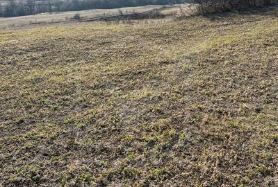 Teren extravilan in Saliste - 1