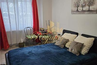 Garsoniera, COMPLET RENOVATA, parter- Zona Badea Cartan - 1