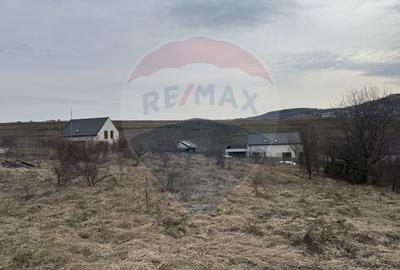 Teren intravilan 2307 mp în Salicea, zona premium, aproape de Cluj - 10