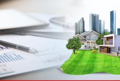 Teren cu pomi fructiferi tineri in Nojorid - 1