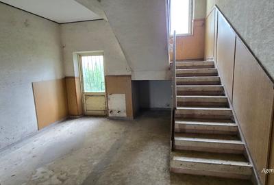 Constructii la strada in Cucorani pe 1 ha de teren - 13