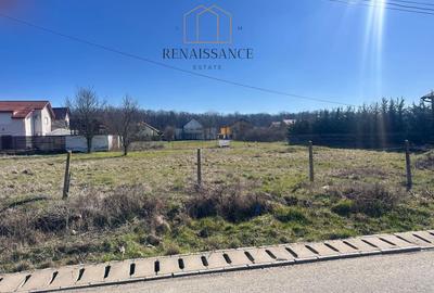 Dumbravita Teren Intravilan 1466mp Front 29m | Langa Padure - 1